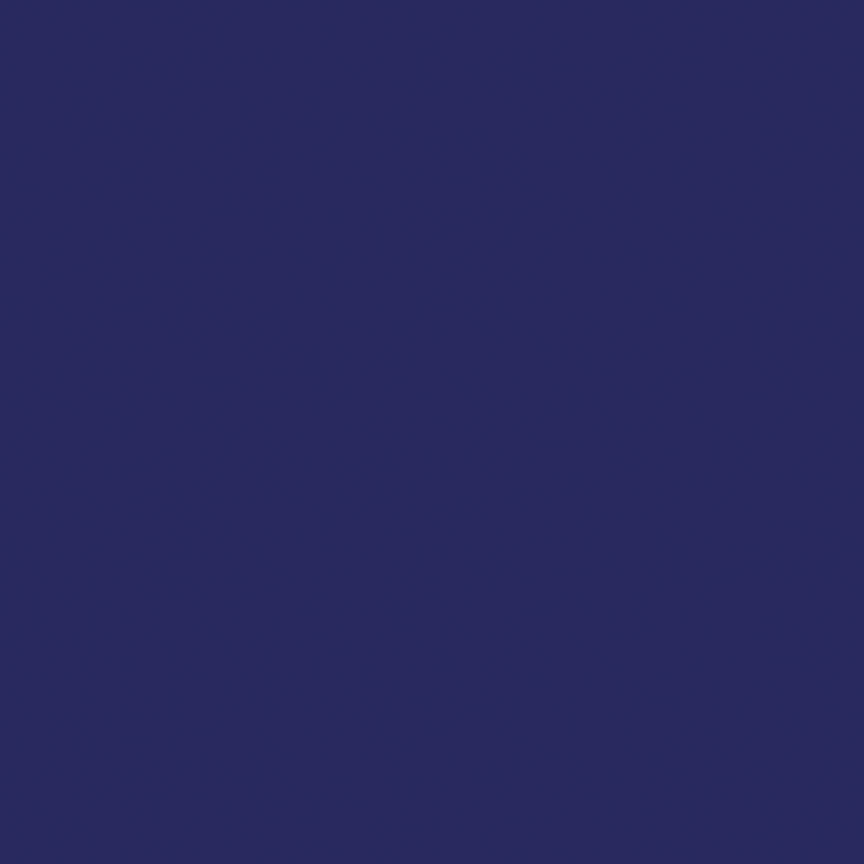 C120-EGGPLANT-72dpi.jpg