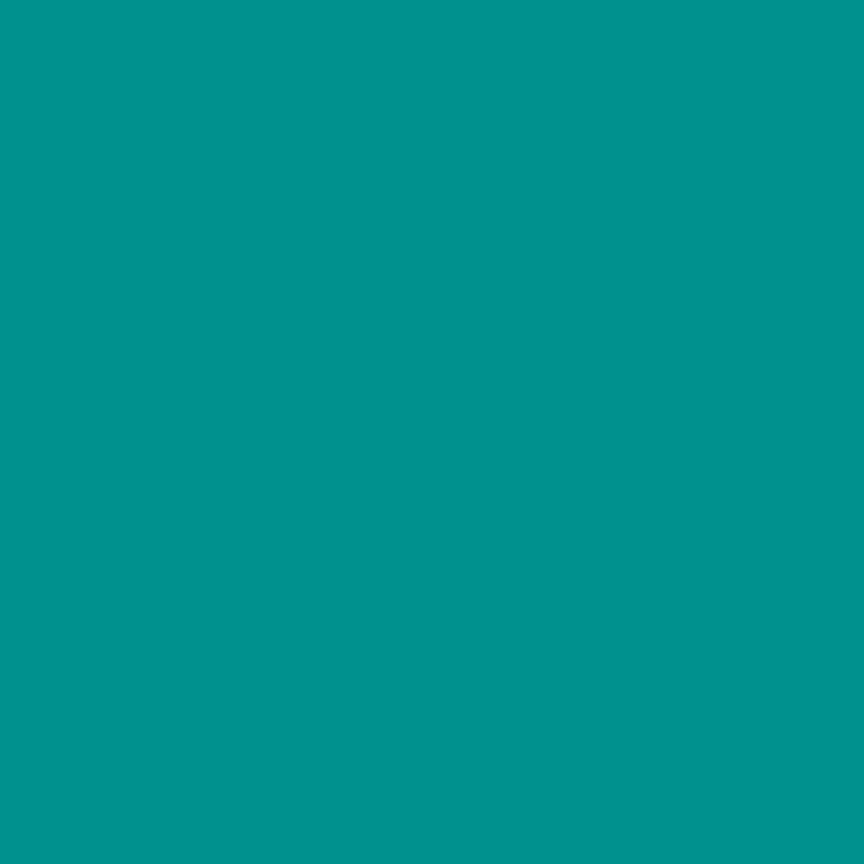 C120-RILEYTEAL-72dpi.jpg