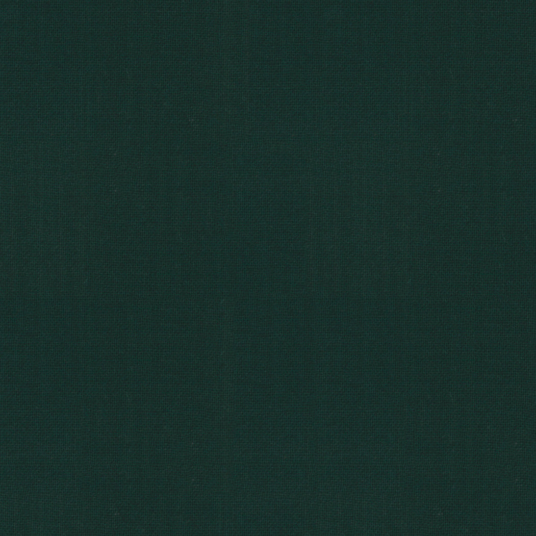 9900 473.jpg