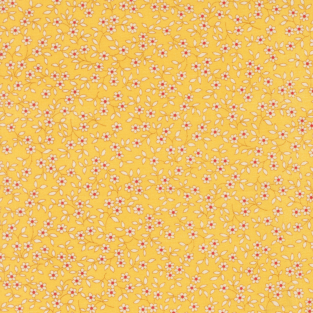 23378 15.jpg
