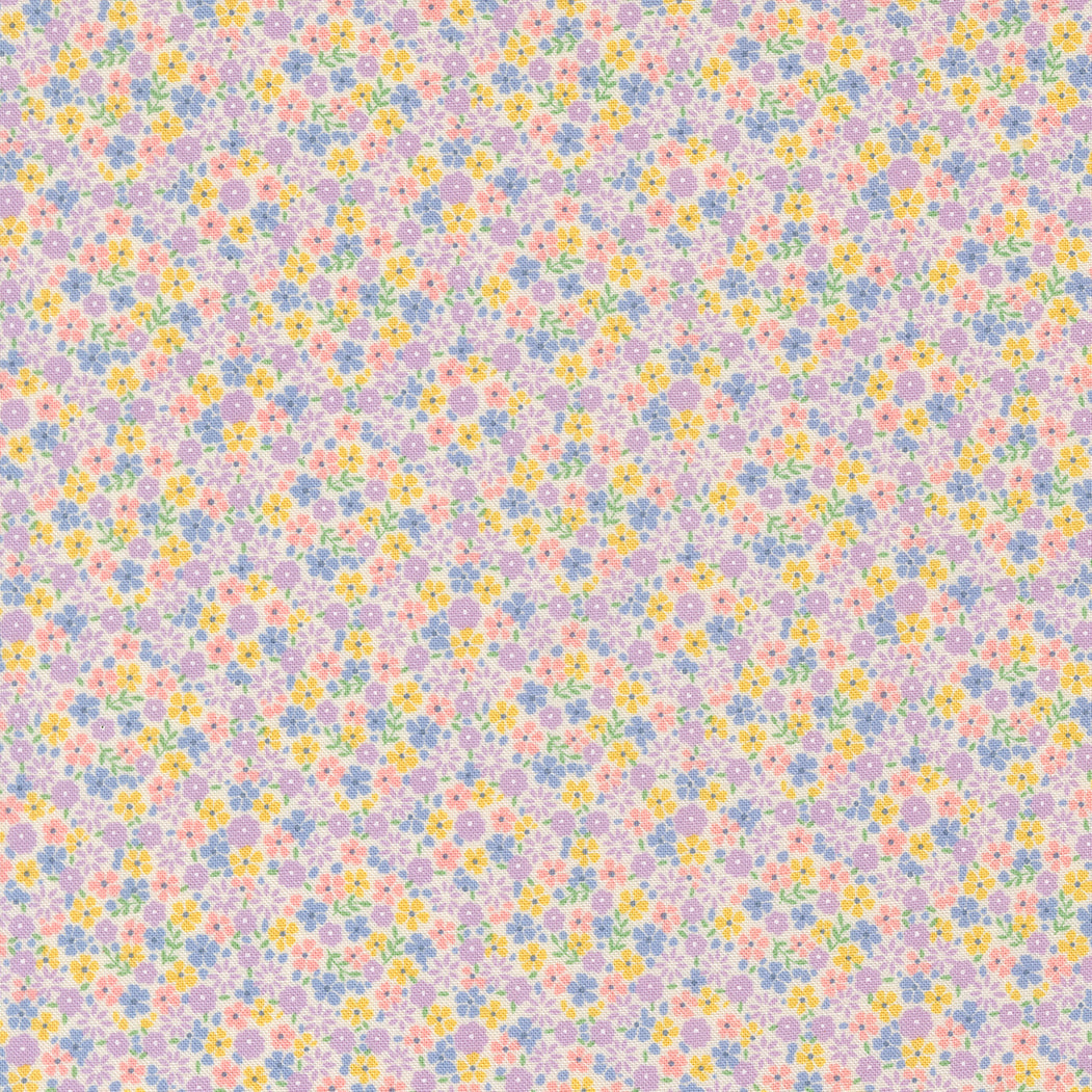 23374 22.jpg