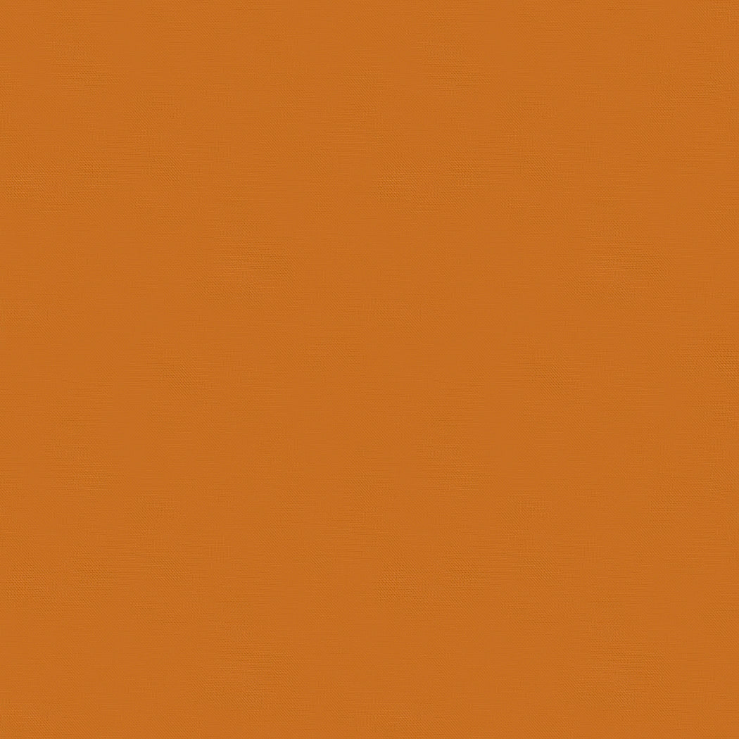 9900 454.jpg