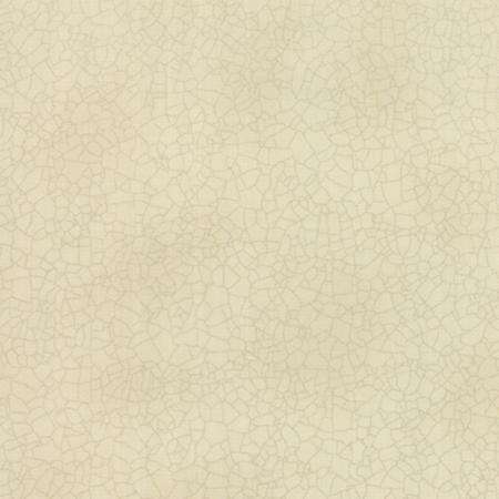 EvoShopify_107347.jpg