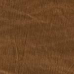 EvoShopify_112834.jpg