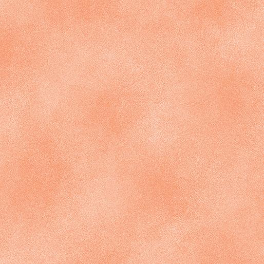 EvoShopify_117275.jpg