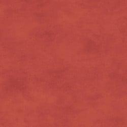 EvoShopify_118128.jpg