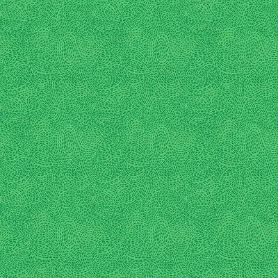 EvoShopify_118990.jpg