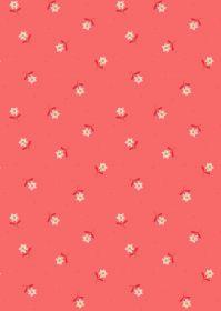 EvoShopify_120147.jpg