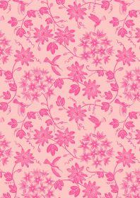 EvoShopify_120150.jpg
