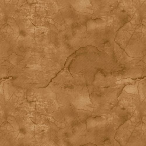 EvoShopify_121451.jpg