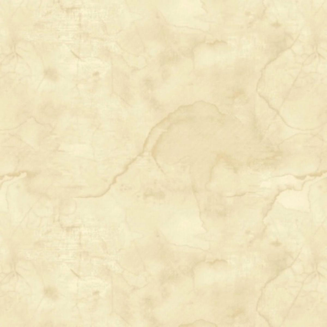 EvoShopify_121454.jpg