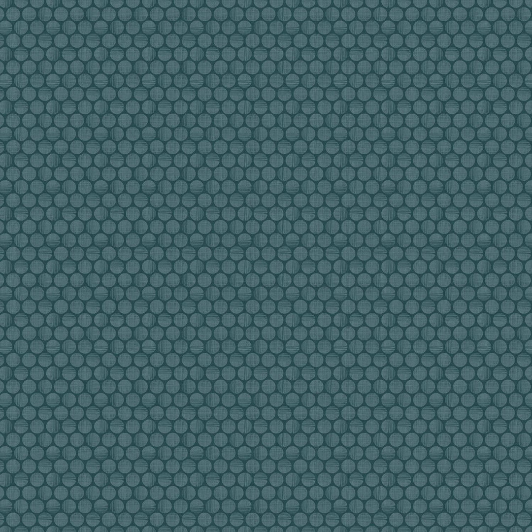 EvoShopify_122816.jpg